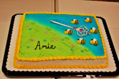 Amie's Party